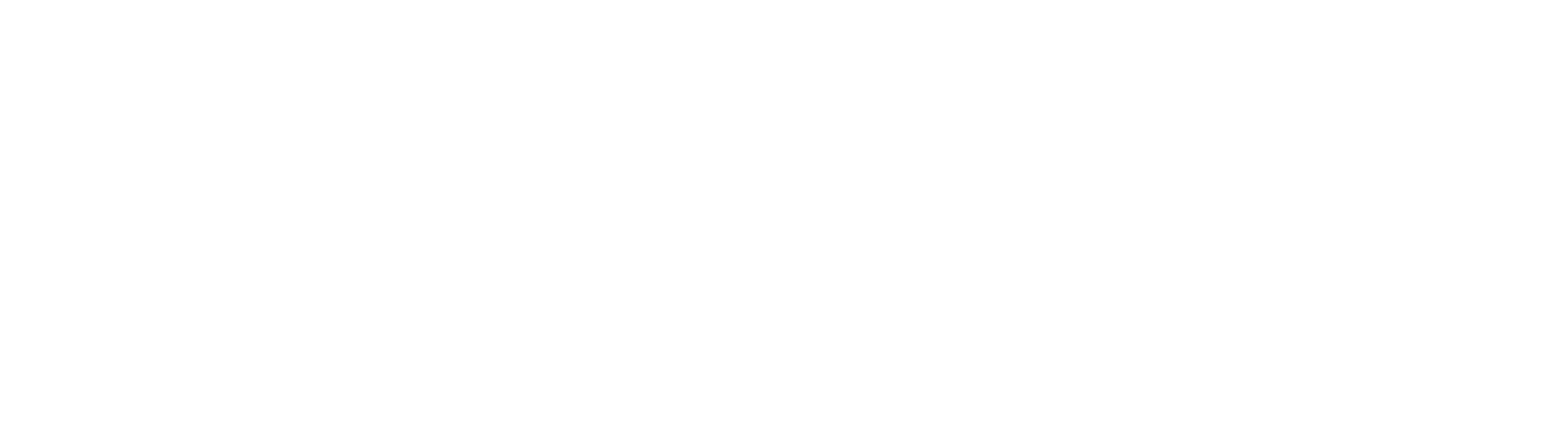 Make-A-Wish France